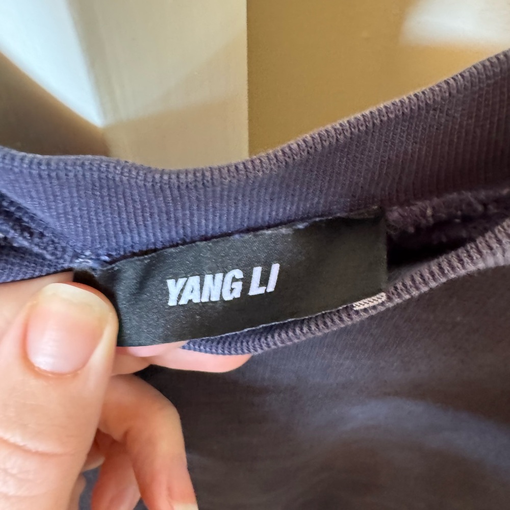 Yang Li Oversized Color Block Patchwork Sweatshir… - image 5